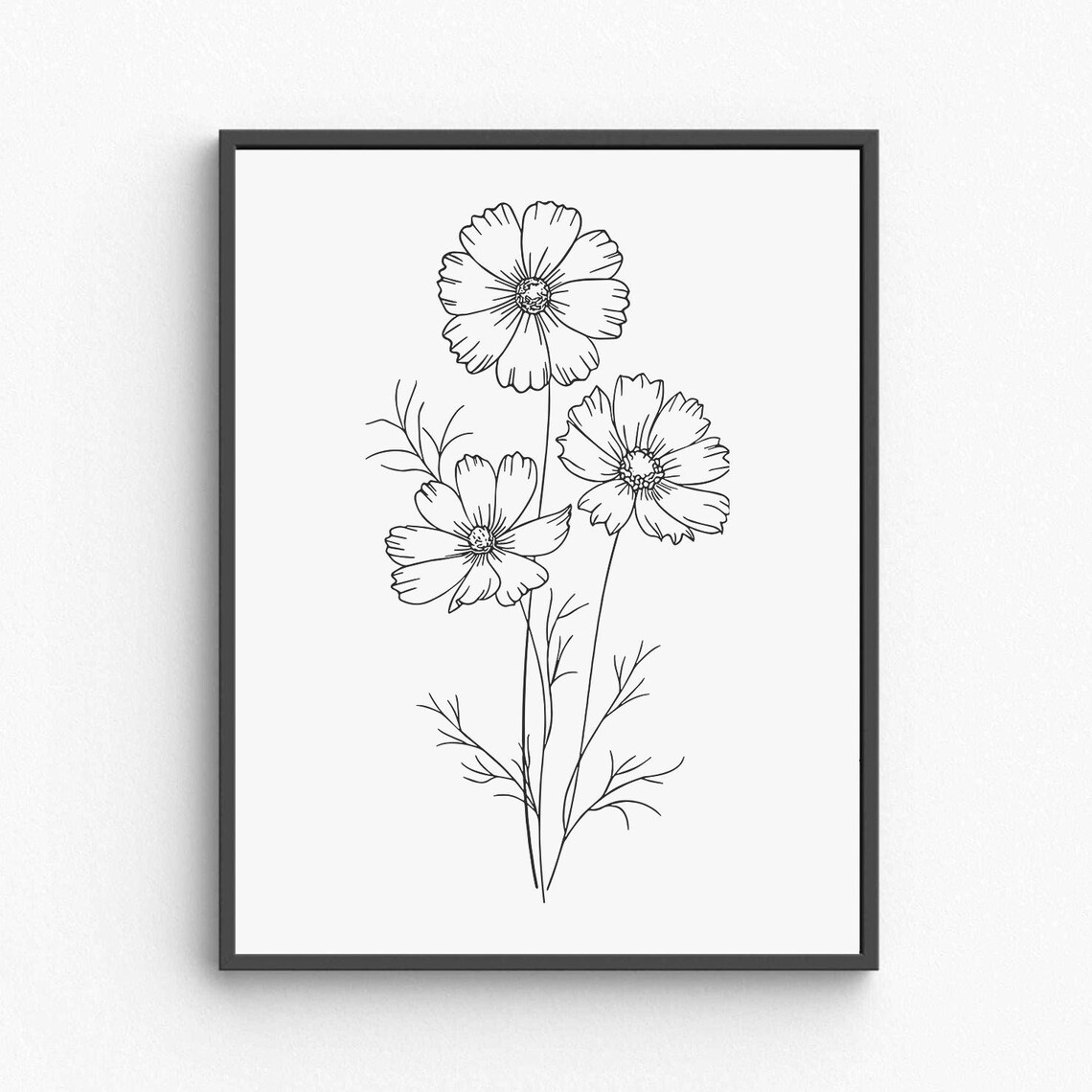 Cosmos Flowers Line Art Delicate Botanical Floral Drawing Poster