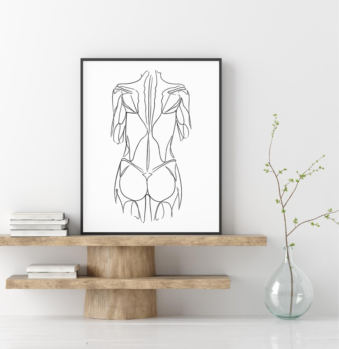 Male Back Muscles Line Art Anatomy Athletic Body Fitness Poster - Image 2