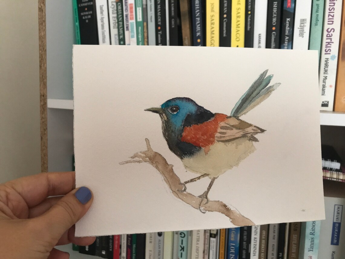 Blue Headed Songbird With Scarlet Chest Watercolor Bird Poster - Image 2