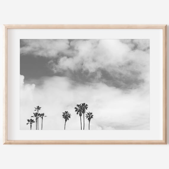 Black And White Palm Trees Dramatic Cloudy Sky Photography Print