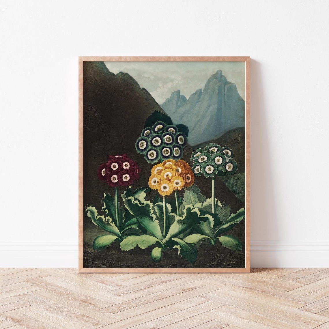 Dark Botanical Floral Wall Art Vintage Painting Decor Illustration Academia Jt0003