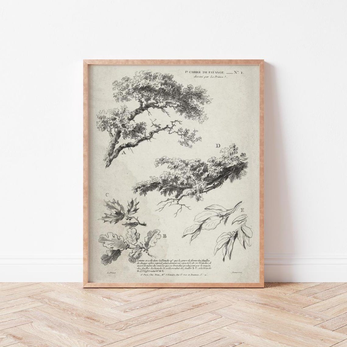 Antique Tree Branch Botanical Sketch Landscape Study Art Print