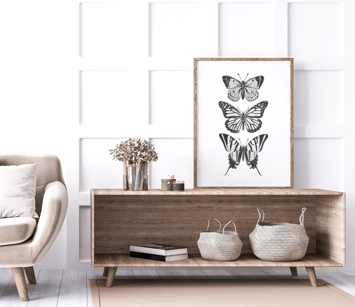 Three Butterfly Engraving Illustrations Vintage Entomology Poster - Image 3