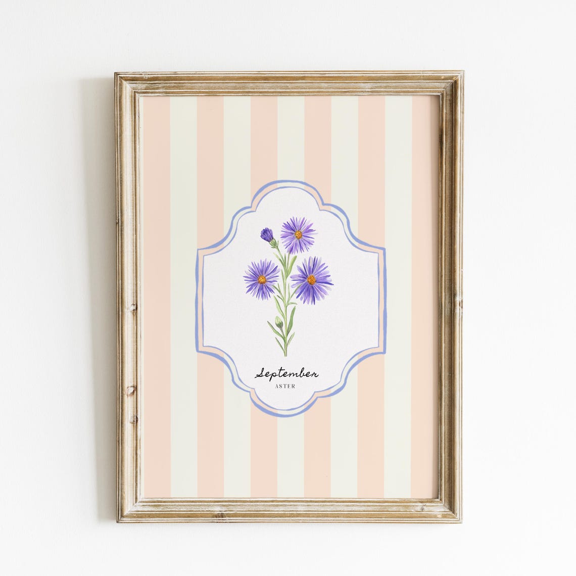 September Aster Birth Flower Peach Striped Botanical Wall Art Print