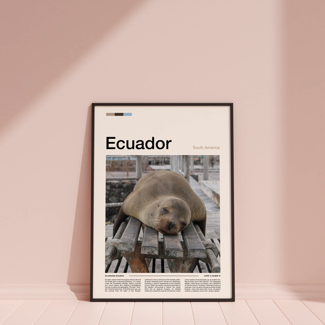 Galapagos Ecuador Sea Lion Wildlife Island Travel Photo Poster - Image 4