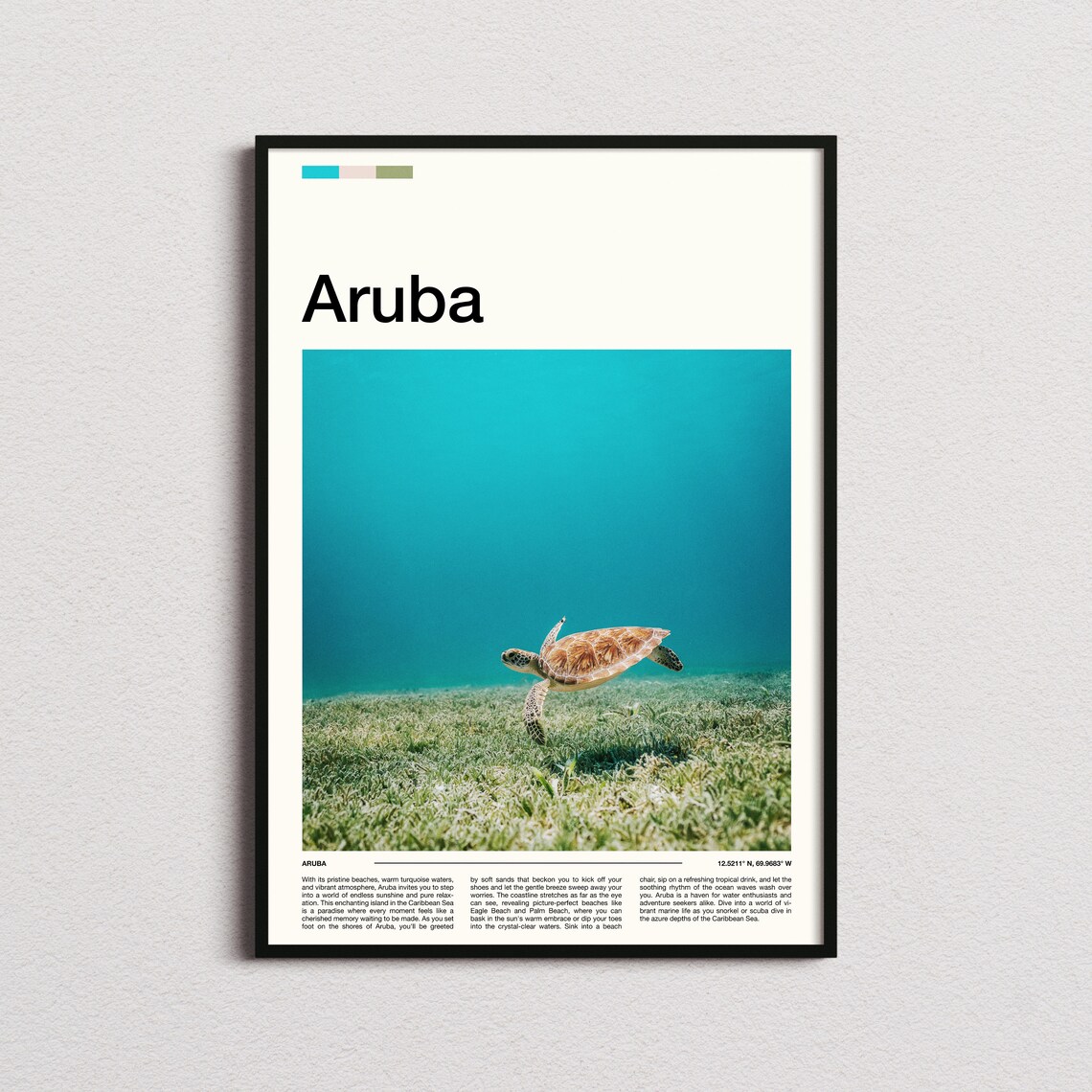 Aruba Caribbean Green Sea Turtle Underwater Photography Poster