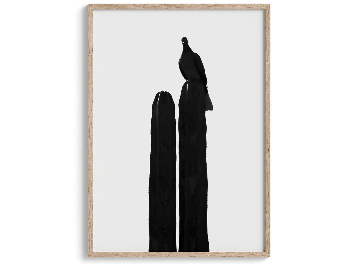 Bird Silhouette On Cactus Black And White Minimalist Desert Print - Image 3