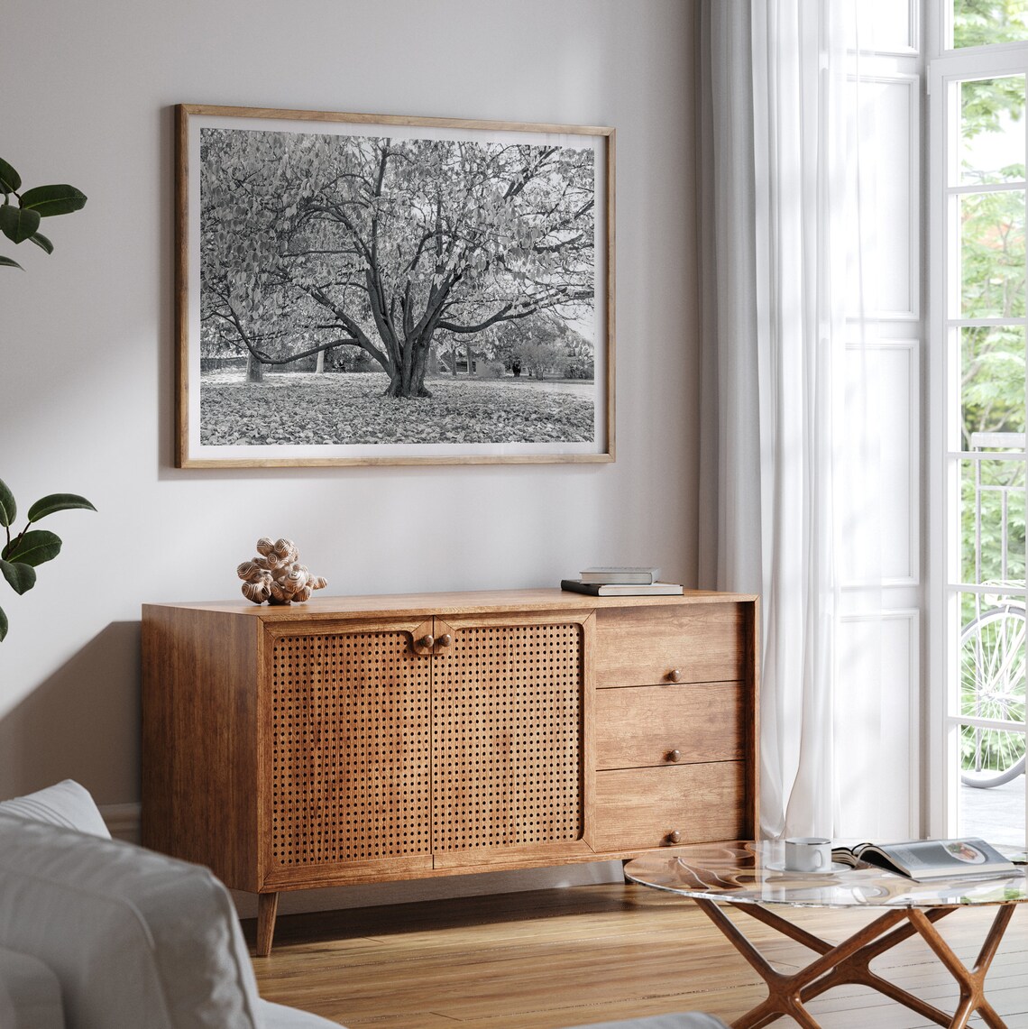 Black and White Tree Photography Art Print, Paris - Image 2