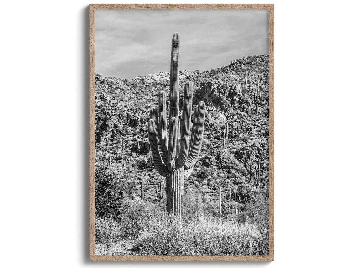 Saguaro Cactus Retro Black and White Art Print - Image 3