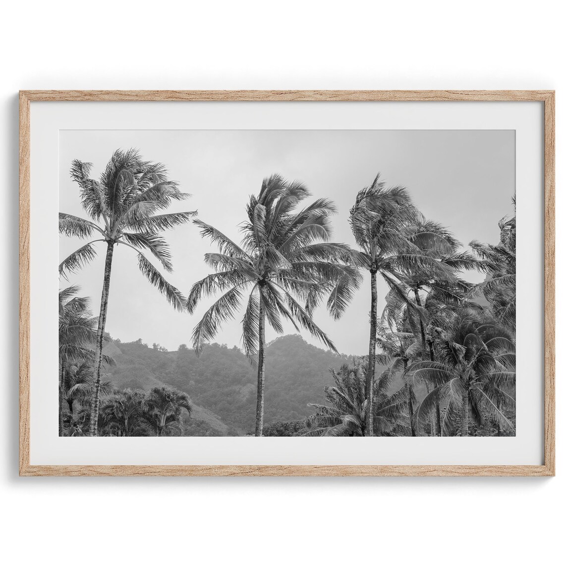 Black and White Hawaii Tropical Beach Art Print