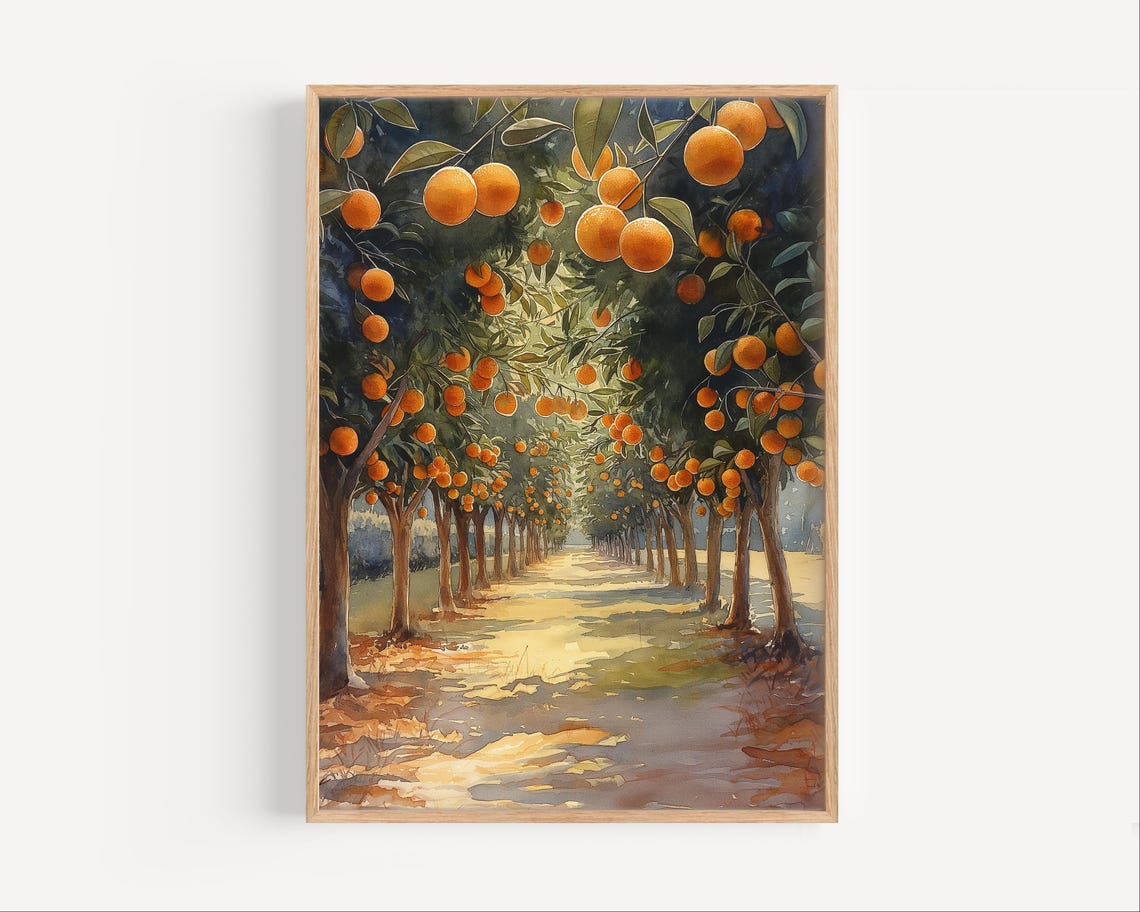 Florida Orange Grove Watercolor Sunlit Citrus Trees Path Poster