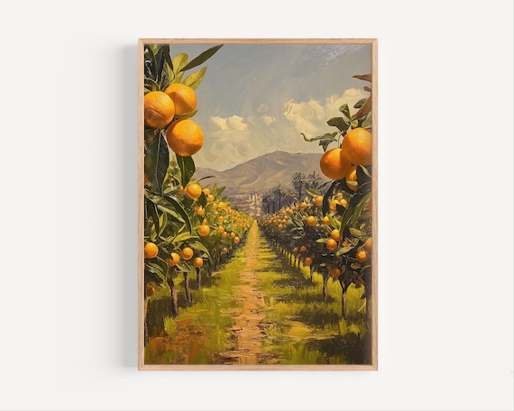Orange Grove Oil Painting Ripe Citrus Trees Mountain View Poster