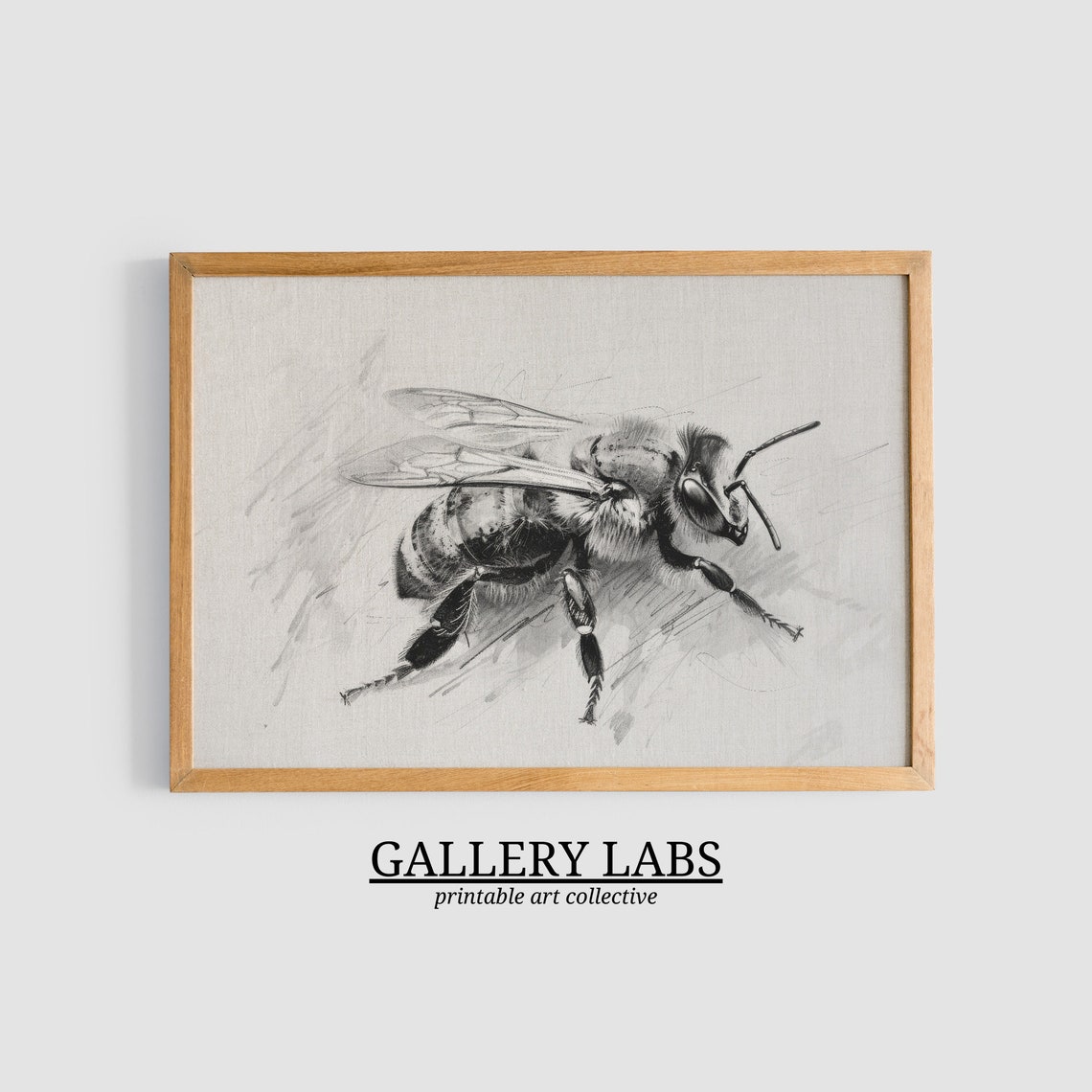 Vintage Honeybee Pencil Sketch Insect Neutral Nursery Wall Art Print - Image 3