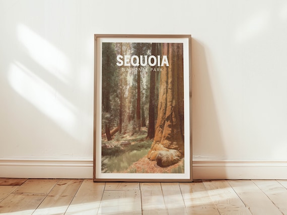 Sequoia National Park Poster Giant Forest Trees Photo Nature Travel Decor