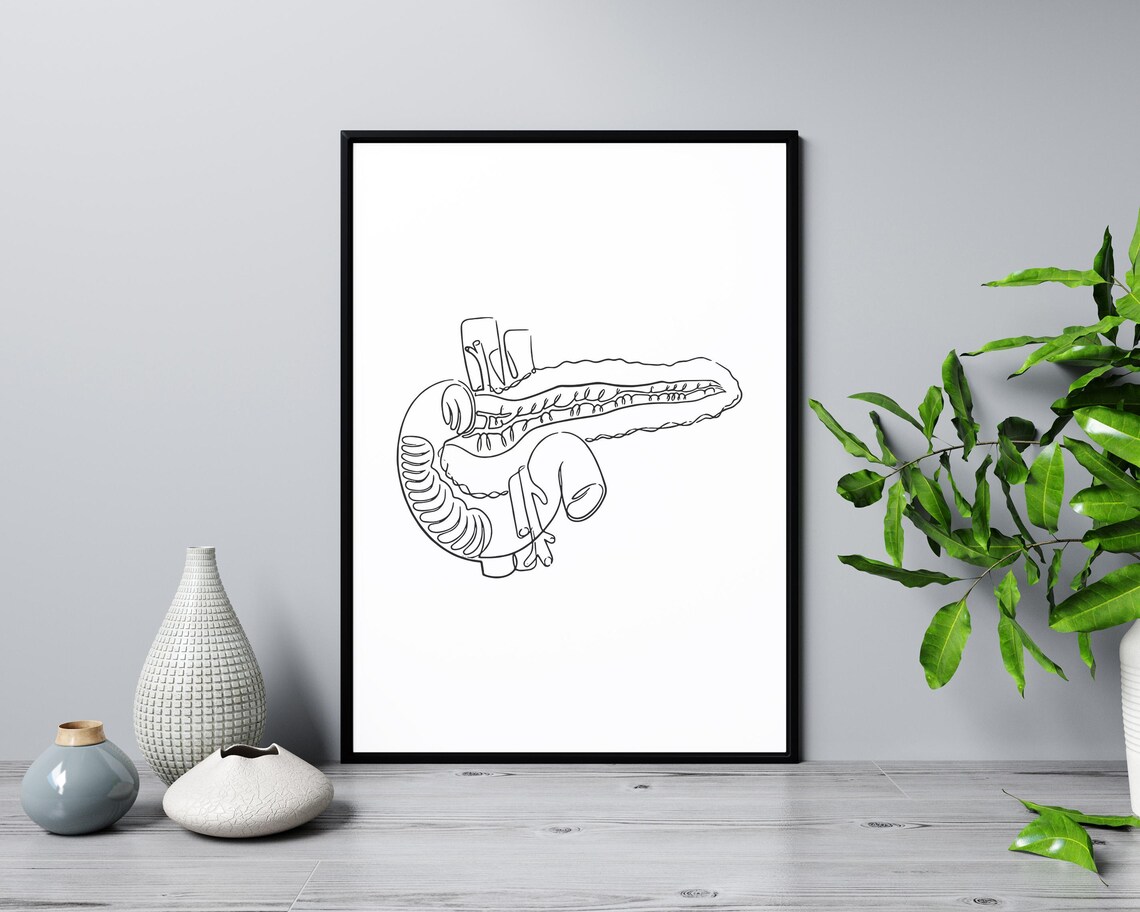 Pancreas Anatomy Line Art Medical Organ Illustration Modern Poster - Image 3