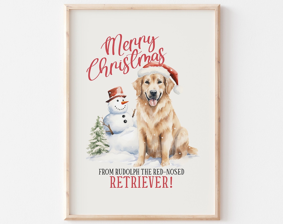 Merry Christmas From Rudolph The Red Nosed Retriever Dog Poster