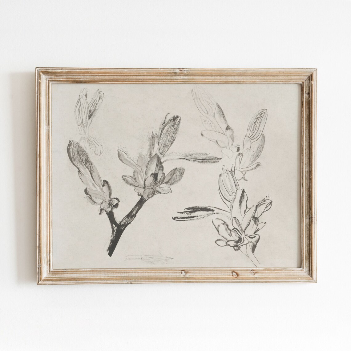 Budding Branches Sketch, Vintage Botanical Art Print
