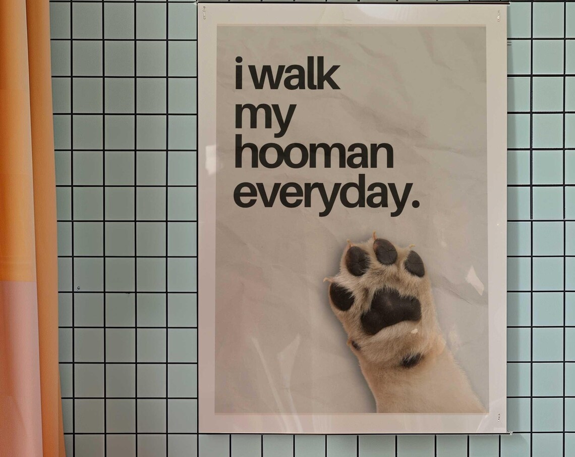 Funny Pet Poster, I Walk My Hooman Everyday