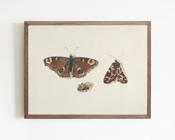 Butterfly Vintage Watercolor Botanical Art Print