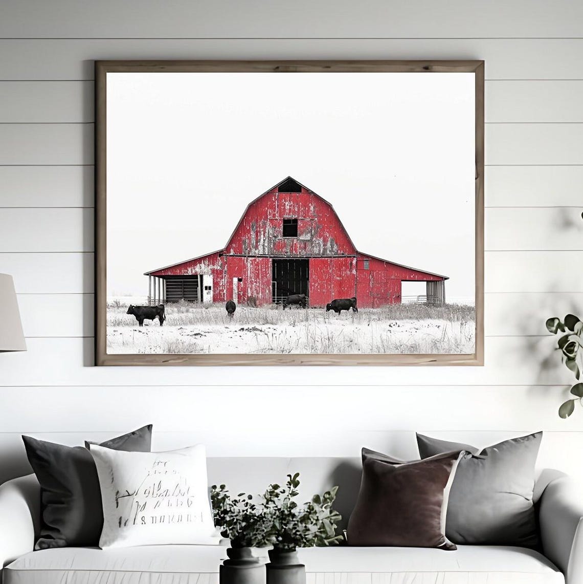 Red Weathered Barn with Black Cows Grazing in Snowy Field Poster