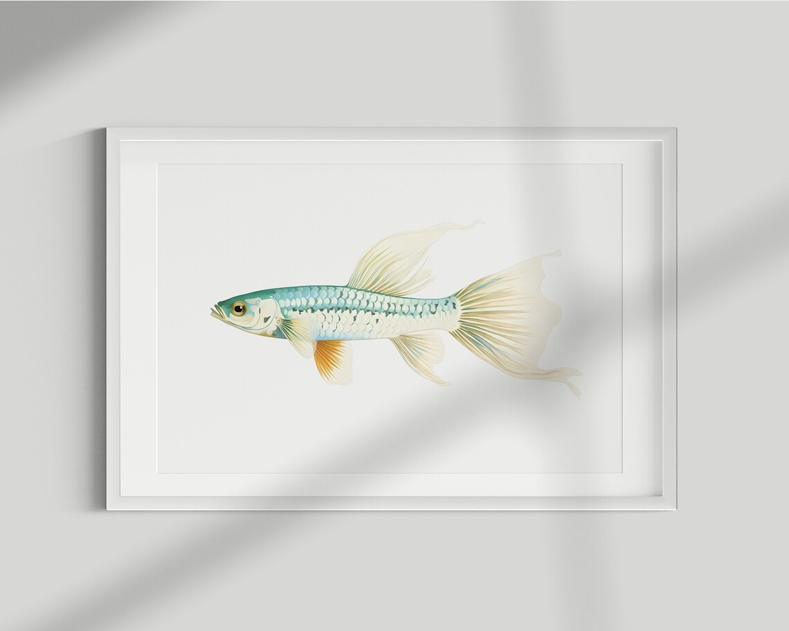 Guppy Fish Vintage Illustration Art Print