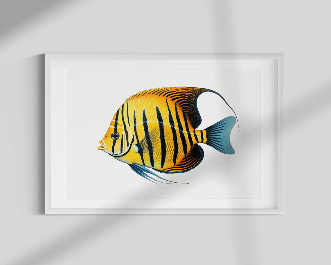 Angelfish Vintage Illustration Art Print