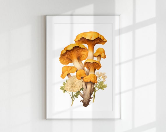 Chanterelle Mushroom Botanical Guide Art Print