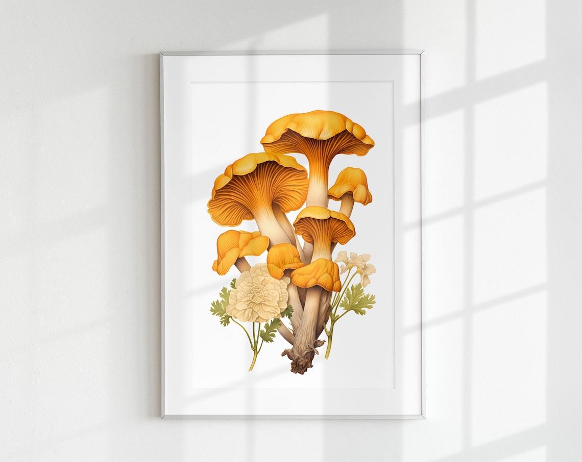 Chanterelle Mushroom Botanical Guide Art Print