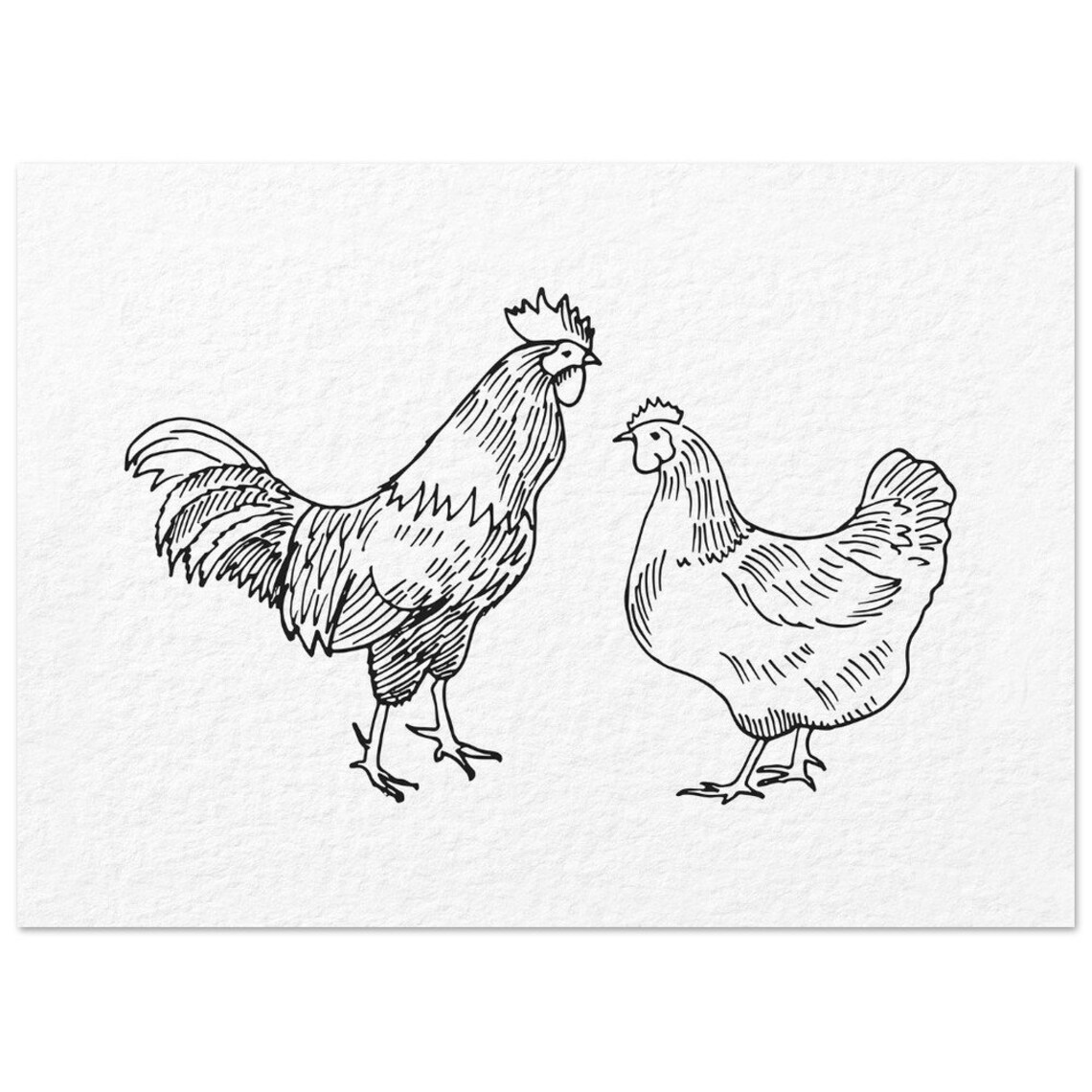Rooster And Hen Minimalist Ink Sketch Farmhouse Animal Art Poster - Image 2