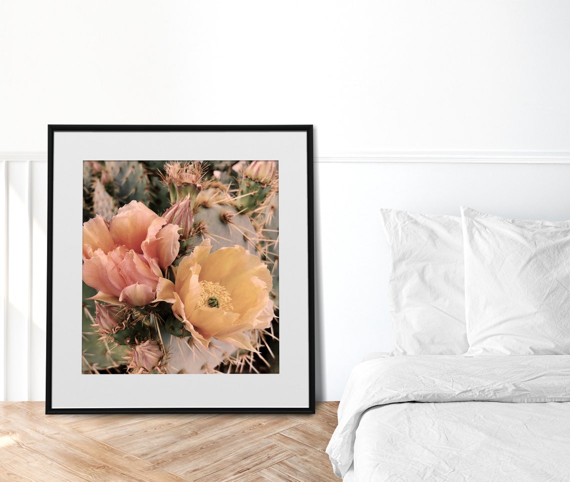 Blooming Cactus Flowers Pink Peach Blossoms Macro Botanical Art Print - Image 3