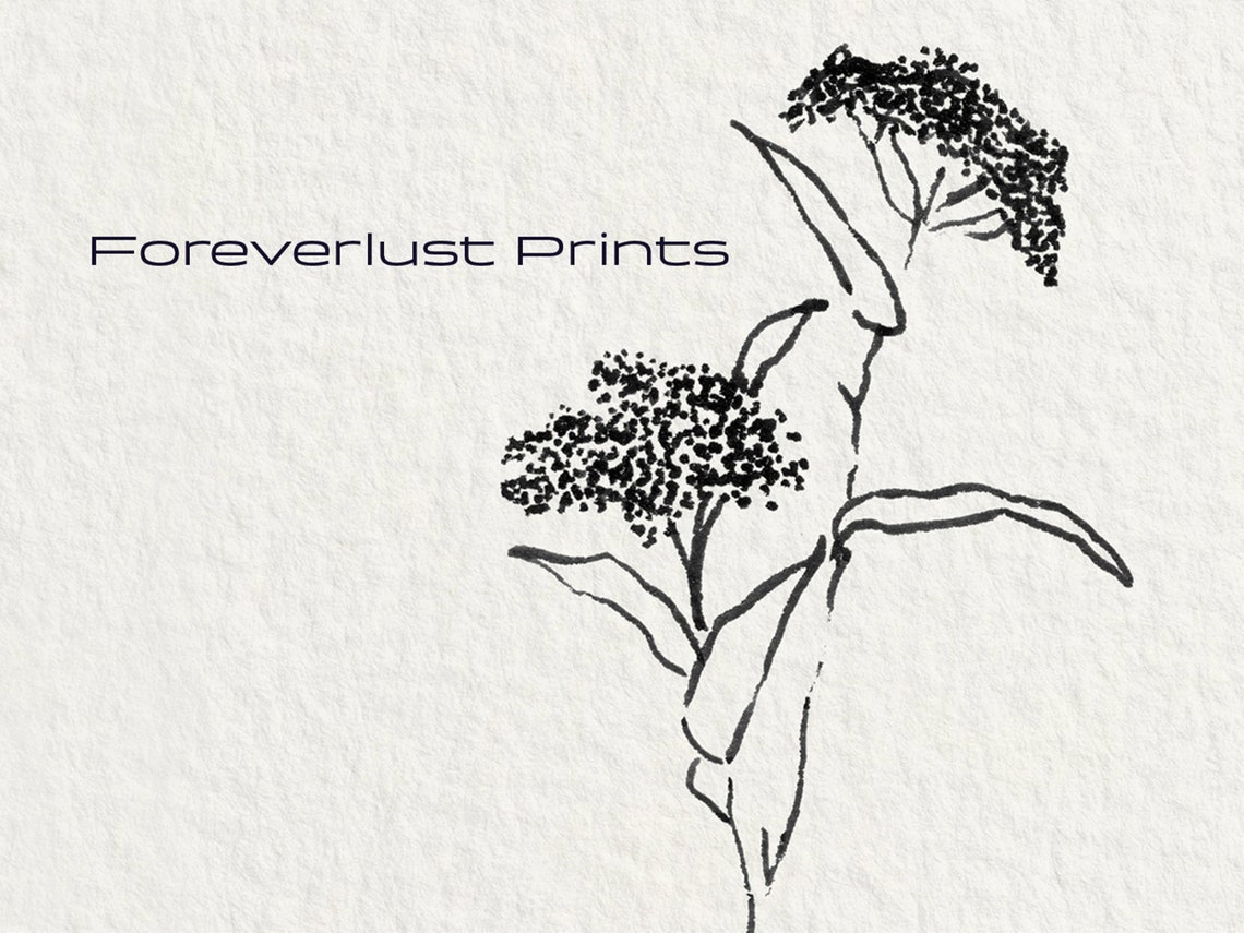 Minimalist Botanical Ink Line Sketch Wildflower Stem Wall Art Print - Image 2