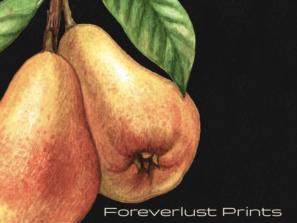 Pear Branch Art Print Pear Still Life Oil Painting Moody Pear Art Original Oil Art Painting Print French Country Art Kitchen Art - Image 2