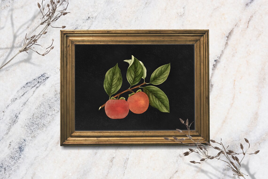 Moody Persimmon Branch Still Life Orange Fruit Botanical Oil Painting Art Print