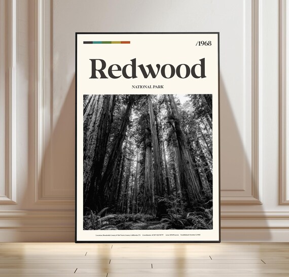 Redwood National Park California Tall Forest Retro Travel Poster