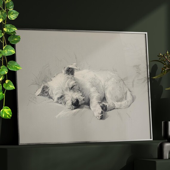 Sleeping Miniature Schnauzer Dog Drawing Wall Art Poster Print Minimalist Pet Memorial Pencil Sketch Nursery Decor
