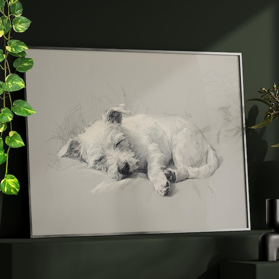 Sleeping Miniature Schnauzer Dog Pencil Sketch Pet Memorial Poster