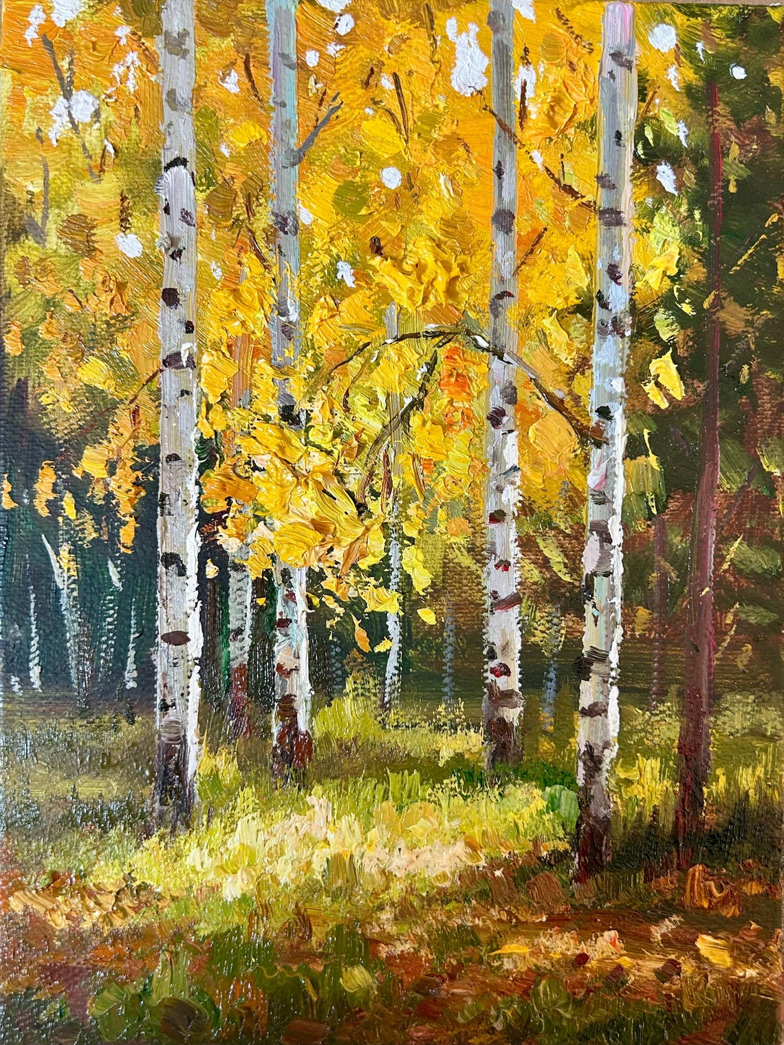 Small Landscape Oil Painting Golden Birch Trees In The Sun Home Decoration Living Room Wall Art Decoration Oil Painting Boutique - Image 5