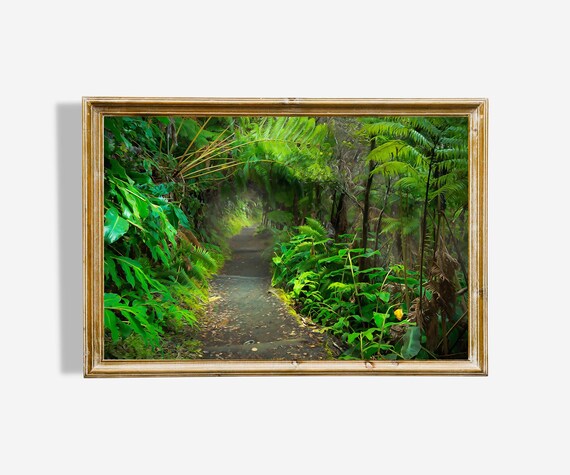 Lush Green Forest Path Tropical Ferns Nature Landscape Art Poster