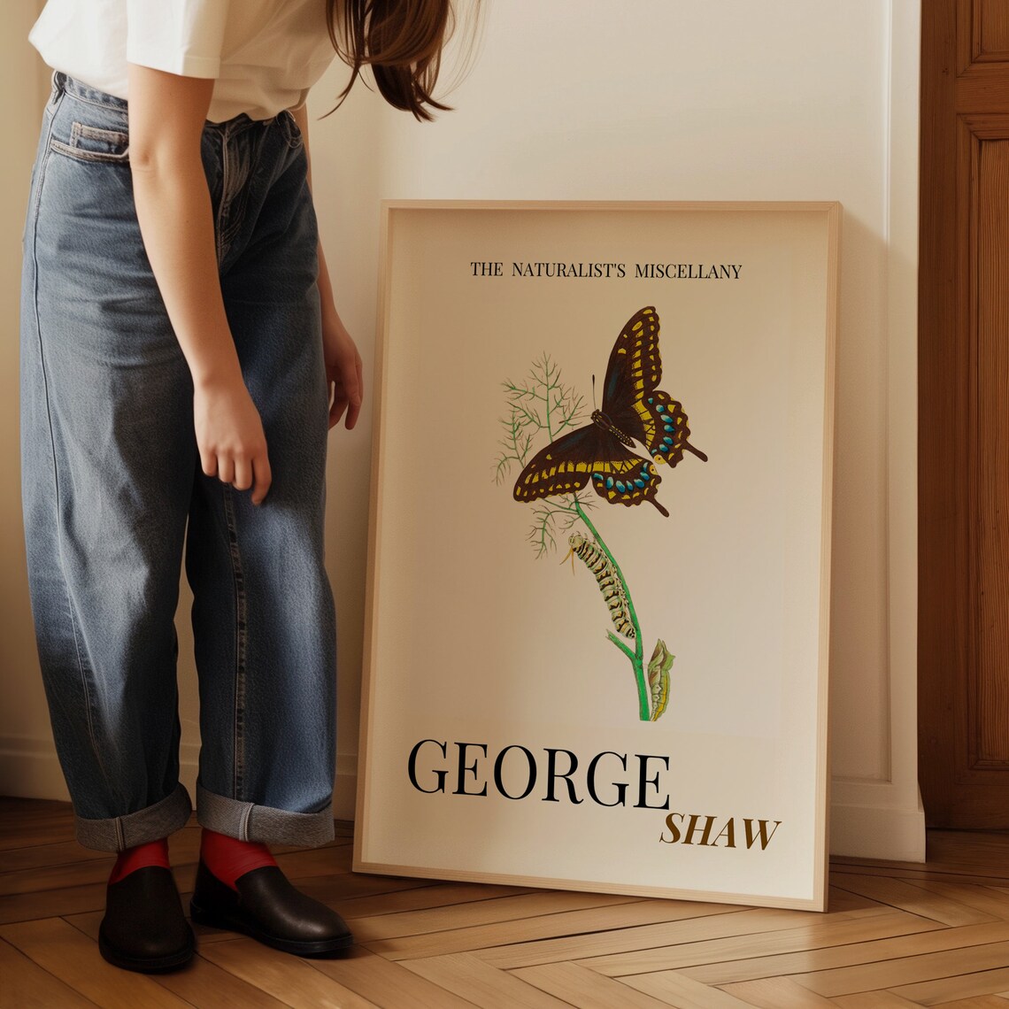 George Shaw Swallowtail Butterfly Life Cycle Illustration Poster - Image 3