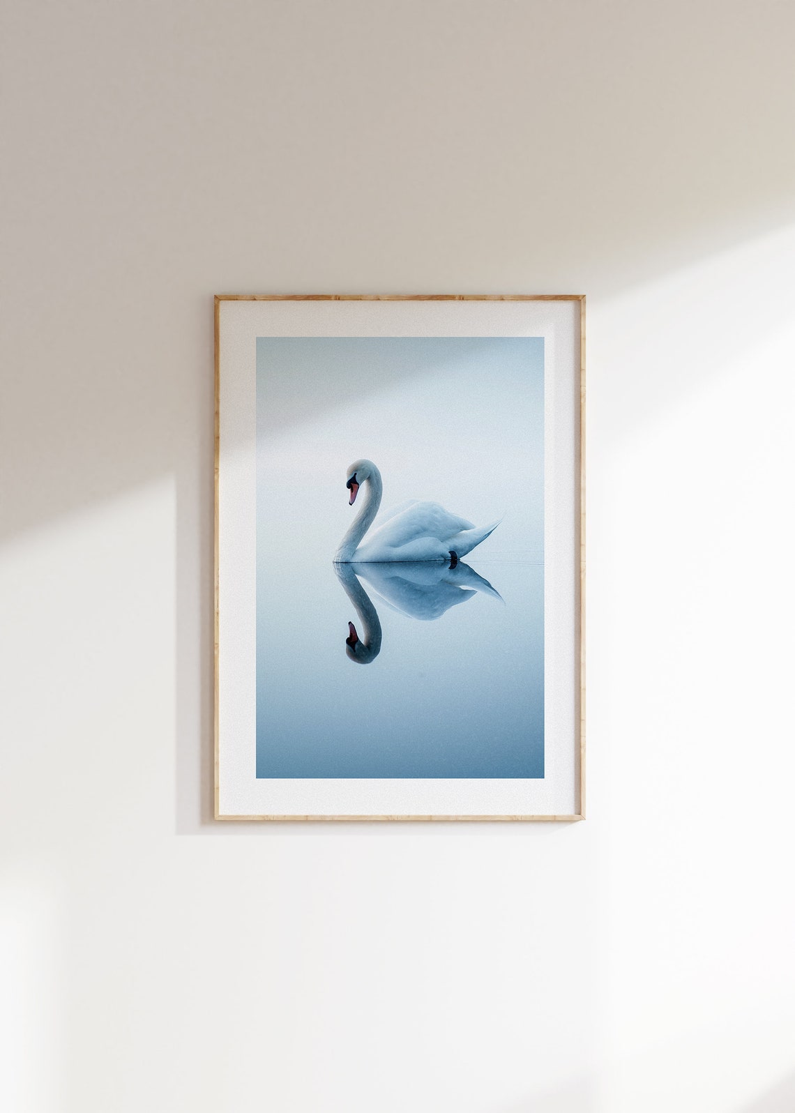 White Swan Mirror Reflection Still Water Minimalist Photo Poster