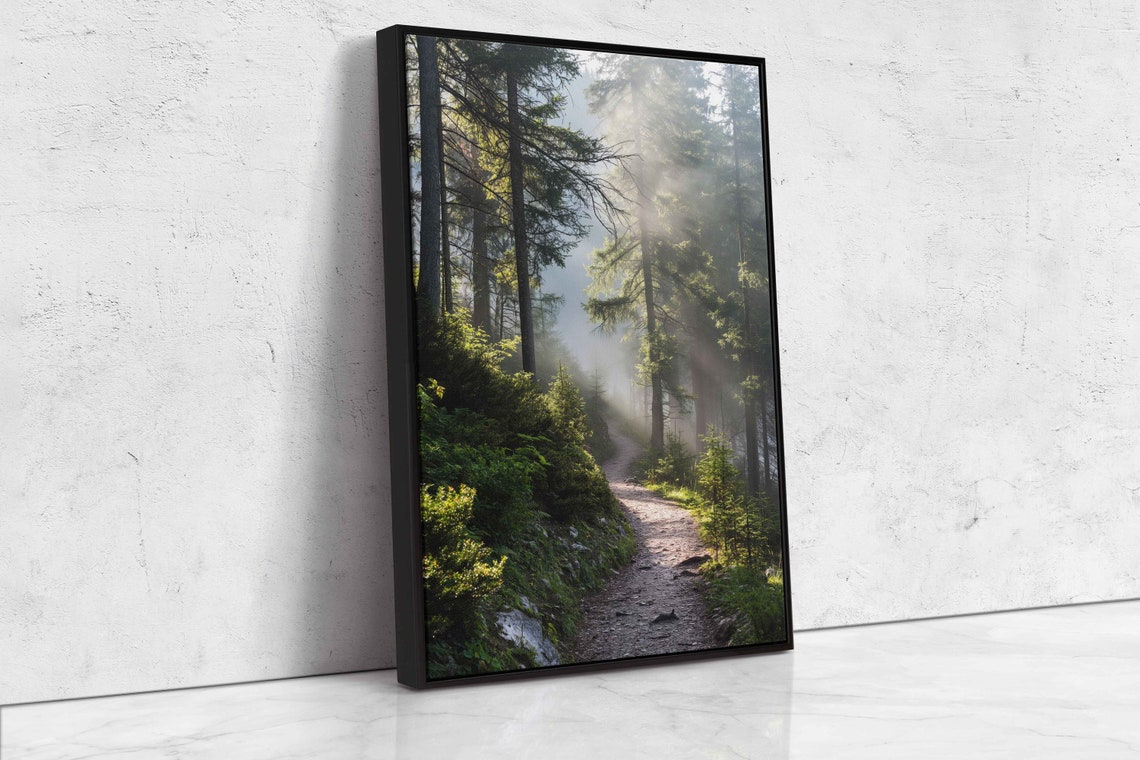Sunlit Misty Forest Path Tall Pine Trees Morning Light Photo Poster - Image 4