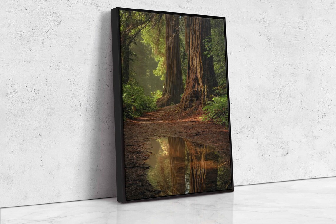 Acrylic Redwood Forest Wall Art Print Gift For Nature Lover Towering Trees Serene Outdoors Water Reflection Ready To Hang - Image 4