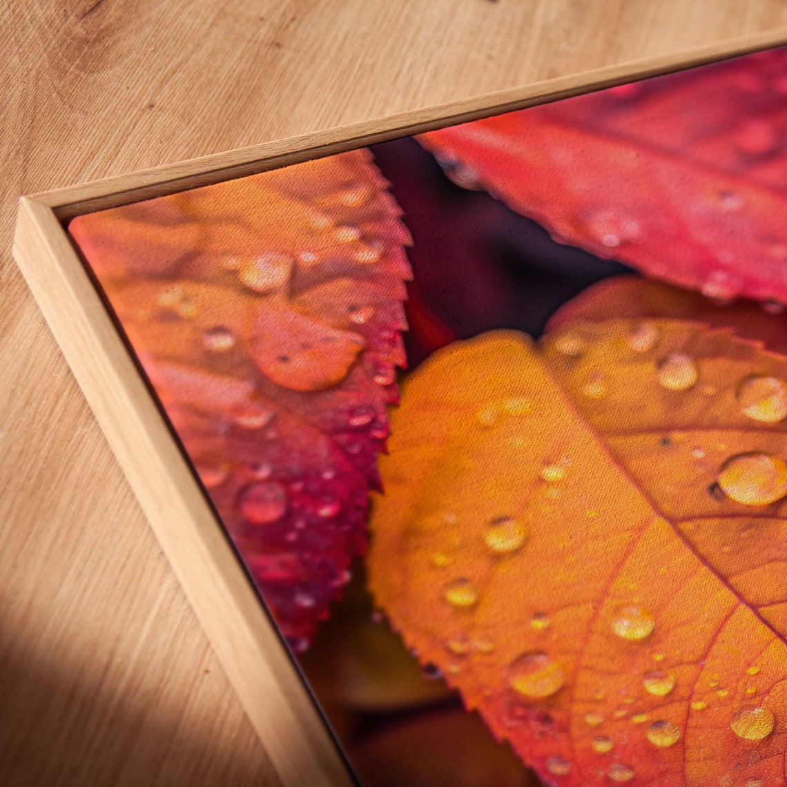 Dew Drops On Vibrant Red Orange Leaves Close Up Macro Photo Poster - Image 2