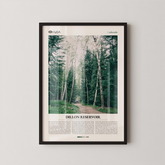 Dillon Reservoir Colorado Birch Forest Trail Photo Travel Poster