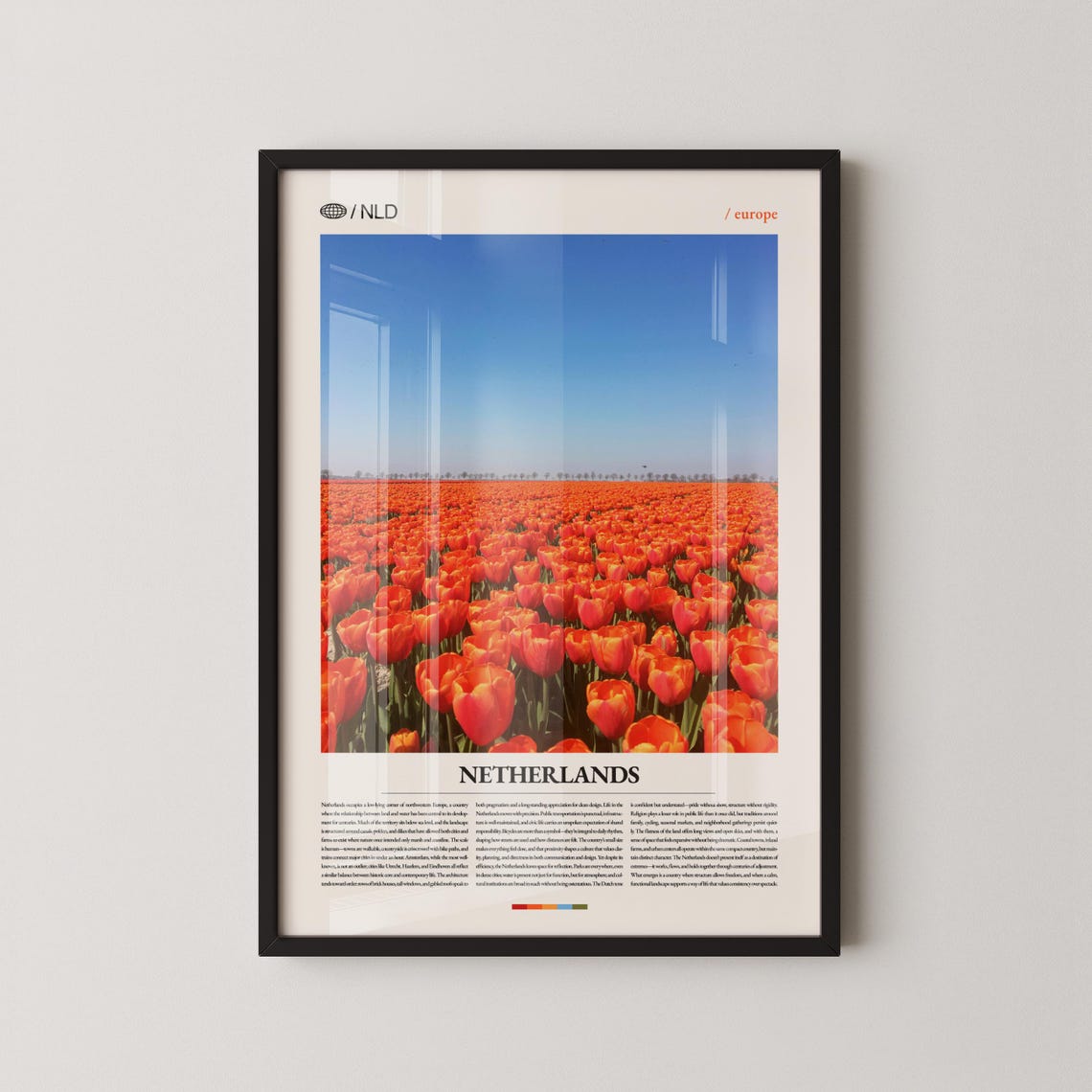 Netherlands Bright Orange Tulip Field NLD Europe Travel Poster