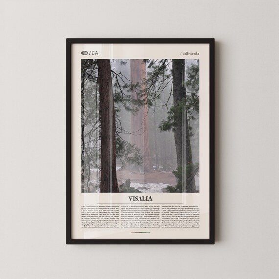 Visalia California Misty Sequoia Forest Editorial Photo Poster