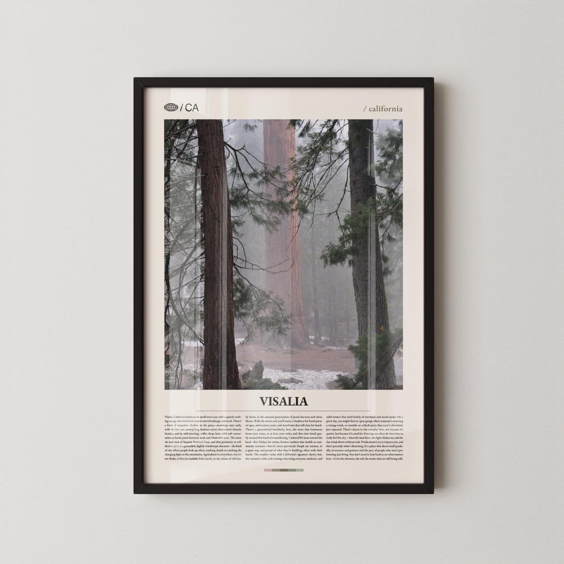 Visalia California Misty Sequoia Forest Editorial Photo Poster