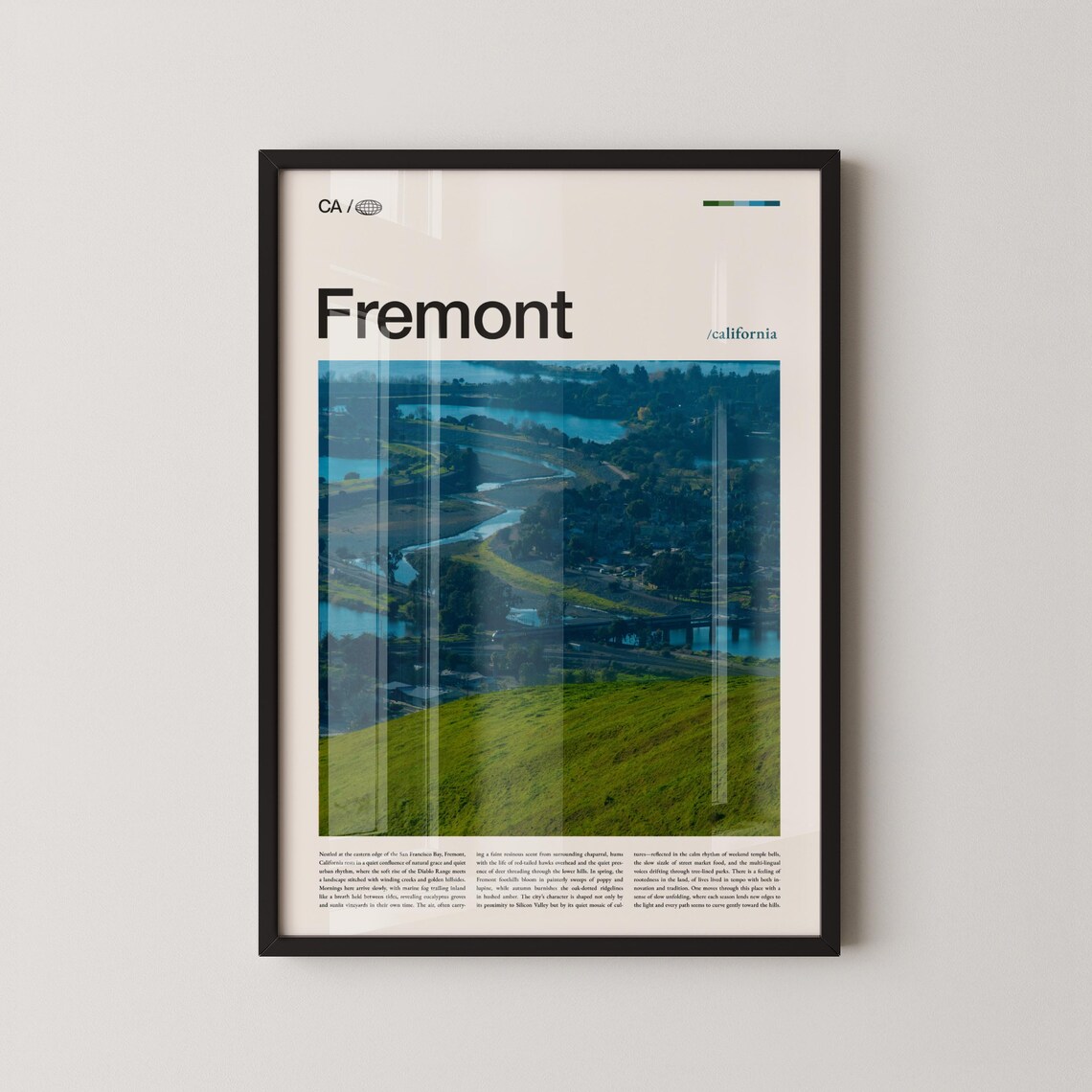 Fremont California Lake Wetland Aerial Modern Photo Travel Wall Art
