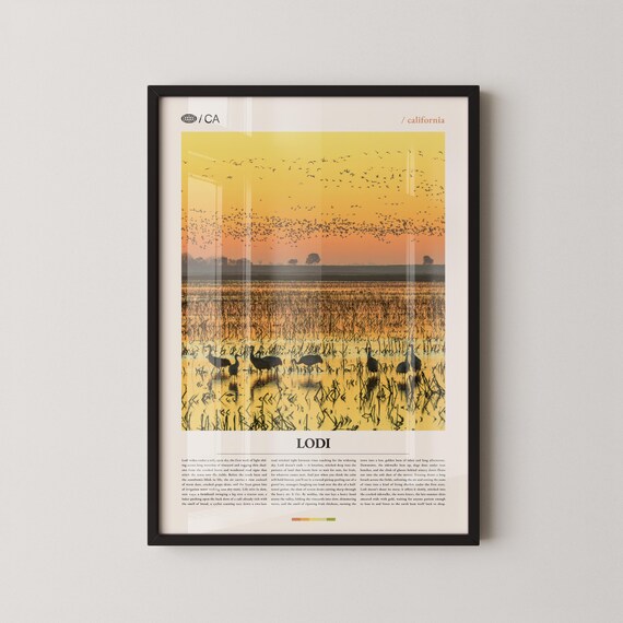 Lodi California Wetland Birds Sunset Minimalist Travel Print