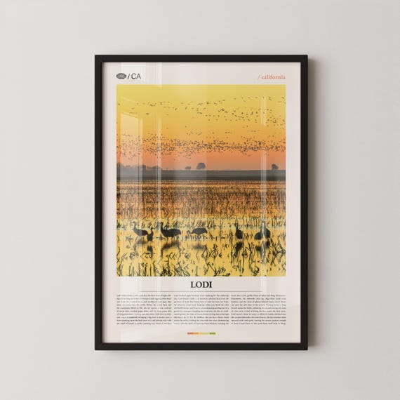 Lodi Print Wall Art Poster Photo Lake Micke Grove Park Wine Trail Downtown